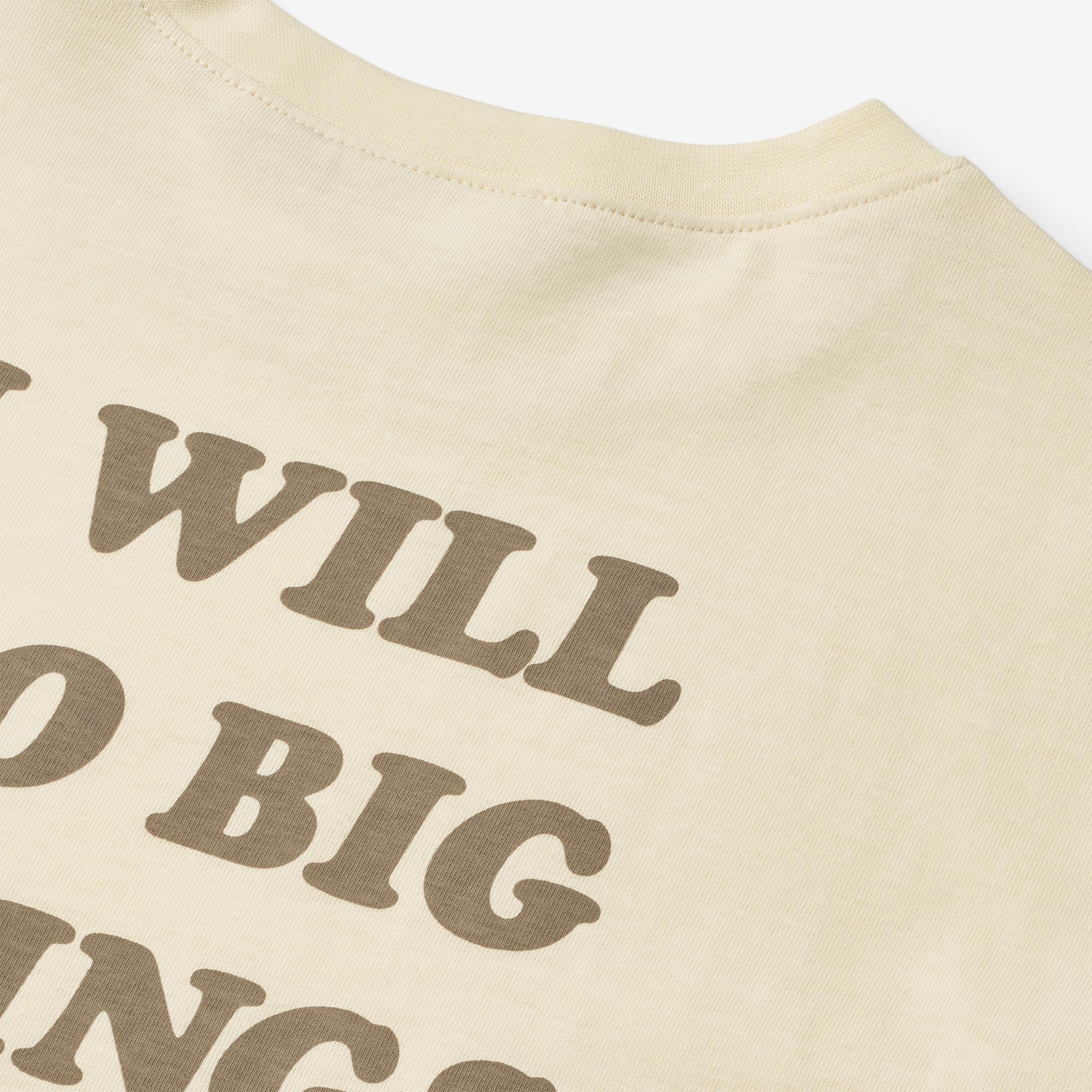 Wheat x Pernille Teisbæk | T-Shirt L/S Kax - honey glow