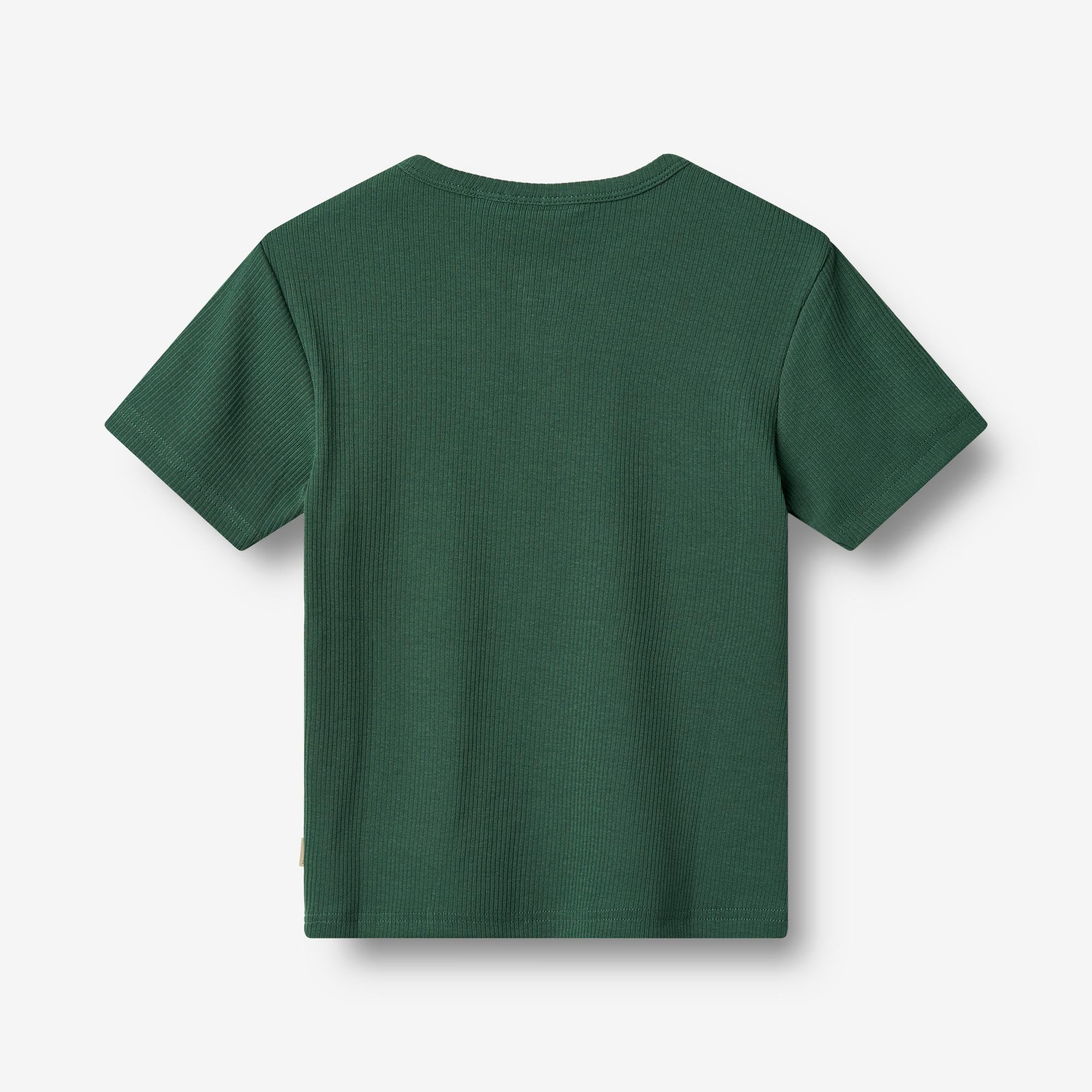 Kortærmet Rib T-shirt Lumi - green