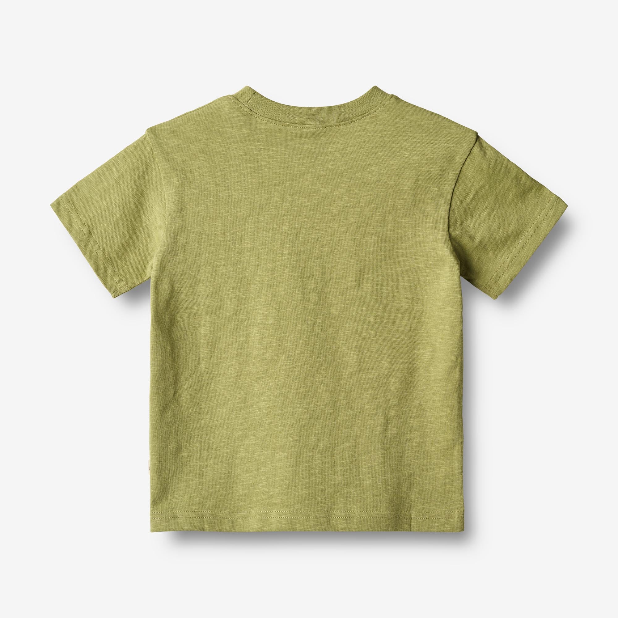 T-Shirt Dines - sage