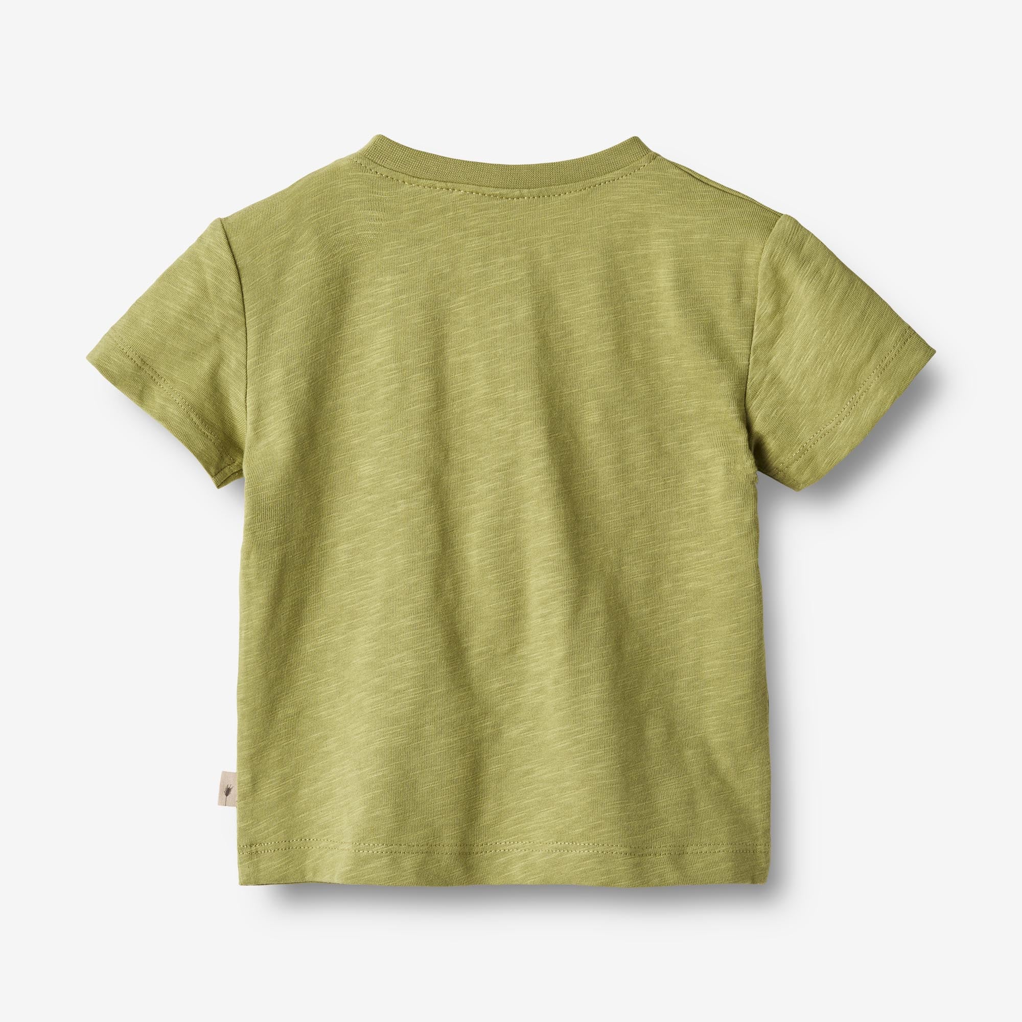 T-Shirt Dines - sage