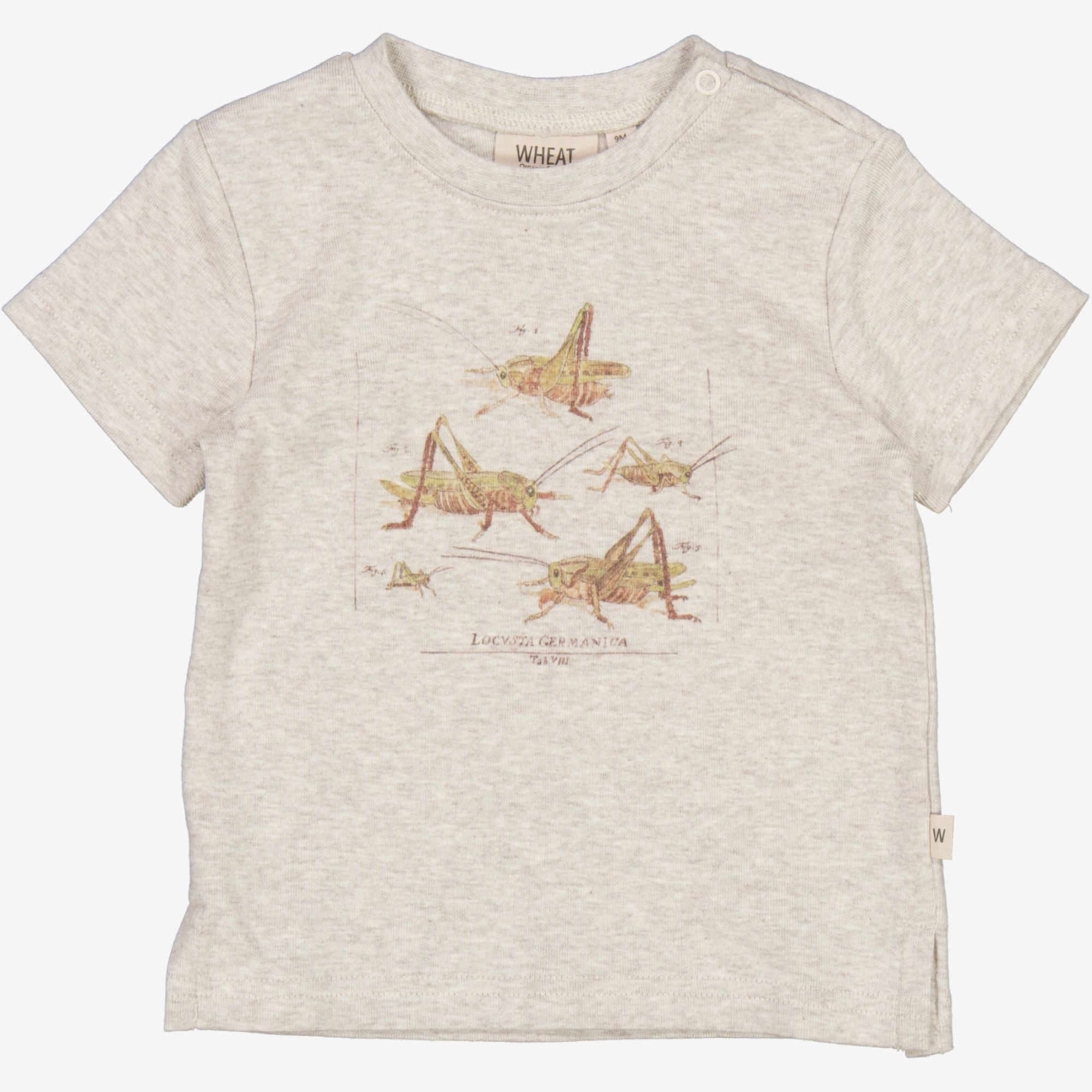 Wheat Main  T-Shirt Græshopper | Baby Jersey Tops and T-Shirts 5060 fossil melange