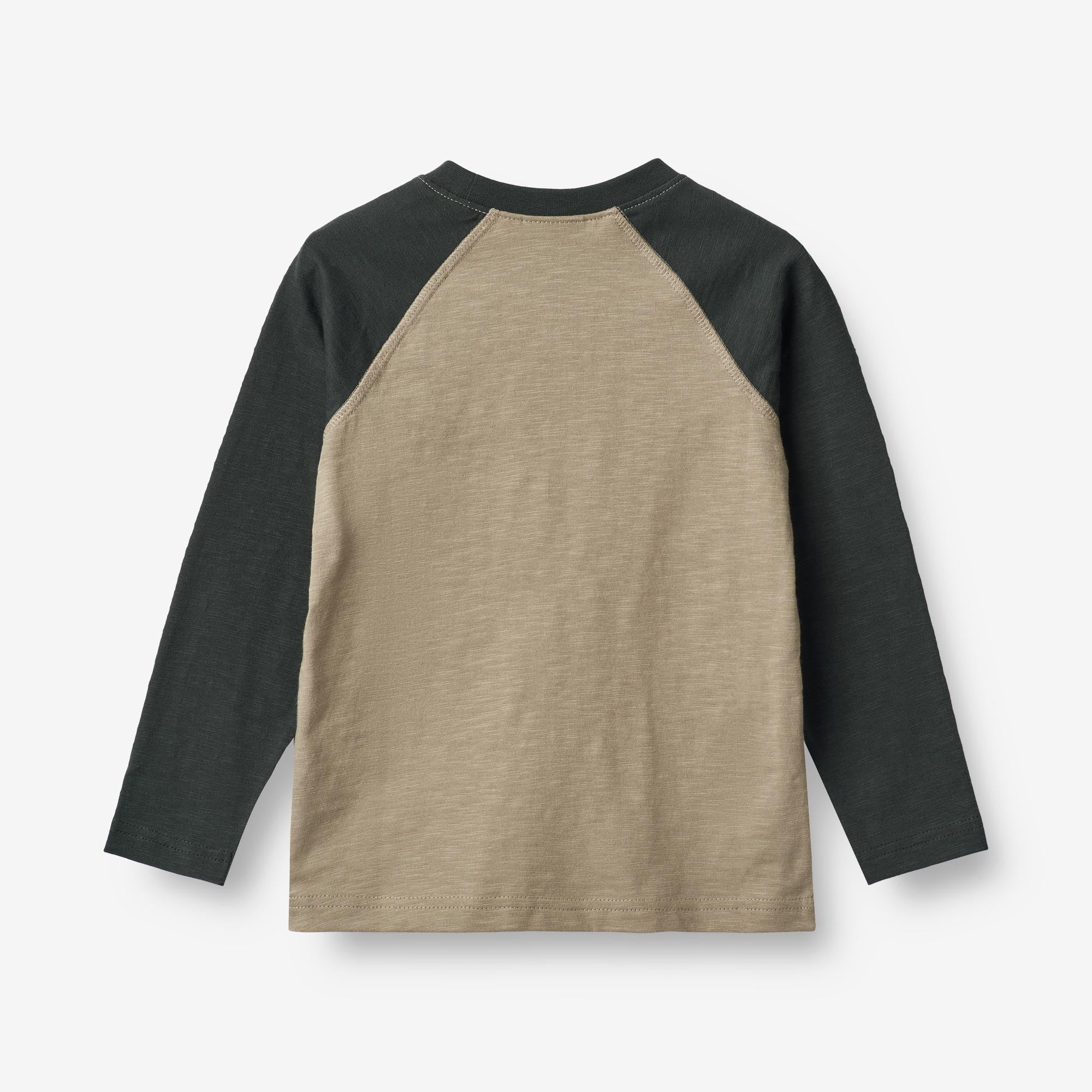Langærmet T-shirt Vaskebjørn - beige stone