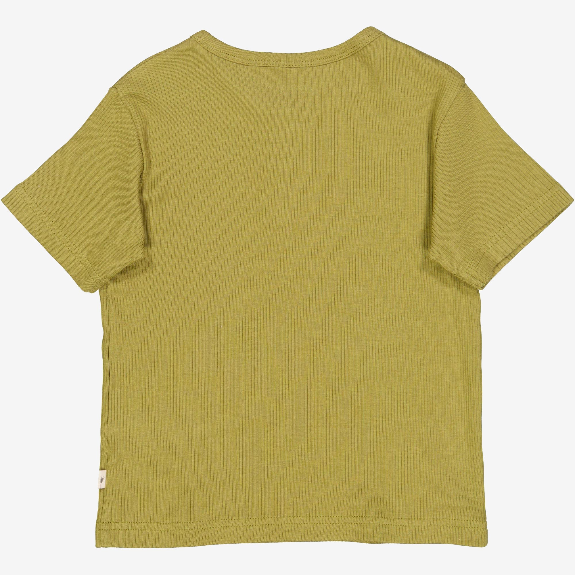 T-shirt Lumi - frog